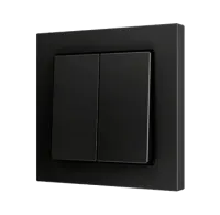 Zennio ZS552PB4A Кнопочный выключатель ZS55 для подключения к 4 бинарным входам, 2-клавишный