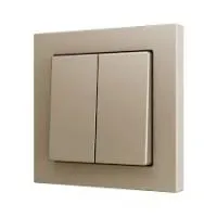 Zennio ZS552PB2C ZS55. Двойная кнопка Soft для 2 бинарных входов 55x55 мм - Шампань