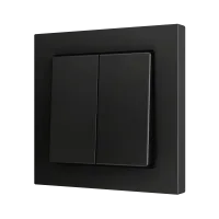 Zennio ZS552PB2A ZS55, Двойная мягкая кнопка для 2 бинарных входов 55x55 мм – Антрацит