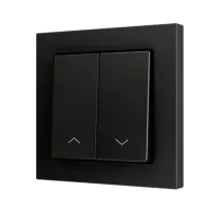 Zennio ZS552PB2SA ZS55. Простая сенсорная кнопка для 1 двоичного входа, 55 x 55 мм, антрацит