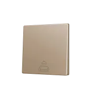 Zennio ZS55CSOFT11CC ZS55, Накладка для кнопки Simple KNX Soft 55x55 мм, Наклон вниз, Шампанское, На заказ