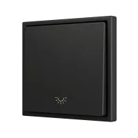 Zennio ZS701PB1LA ZS70, Простая мягкая кнопка для 1 бинарного входа 70x70 мм – Значок подсветки, Антрацит
