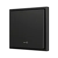 Zennio ZS701PB1KA ZS70, Простая мягкая кнопка для 1 бинарного входа 70x70 мм – Значок ключа, Антрацит
