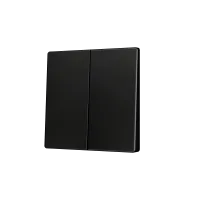 Zennio ZS55CSOFT22A ZS55, Крышка для двойной мягкой кнопки KNX 55x55 мм, Наклон вниз, Антрацит