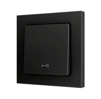 Zennio ZS551PB1KA ZS55. Простая сенсорная кнопка для 1 двоичного входа, 55 x 55 мм, Антрацит