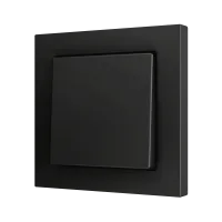 Zennio ZS551PB2A ZS55, Простая мягкая кнопка для 2 бинарных входов 55x55 мм – Антрацит