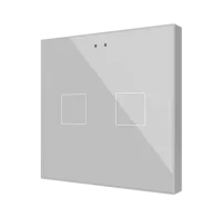 Zennio ZVIF2VTS Выключатель сенсорный KNX Flat 2, версия vT, 2-кнопочный, LED индикация, 2хAI/DI, цвет: серебро