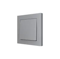 Zennio 830001706 ZS55. Заглушка для одинарного выключателя 55x55 мм - серебристая