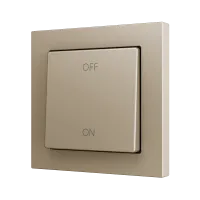 Zennio ZS551PB2CC ZS55, Простая мягкая кнопка для 2 бинарных входов 55x55 мм – Шампанское – На заказ