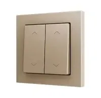Zennio ZS552PB4SHC ZS55. Простая сенсорная кнопка для 1 двоичного входа, 55 x 55 мм, цвет шампанского