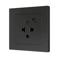 Zennio ZS55IEUA1US ZS55 — евро-американская розетка с USB C.