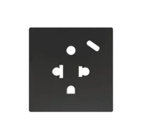 Zennio ZS55IEUA1US ZS55 — евро-американская розетка с USB C.